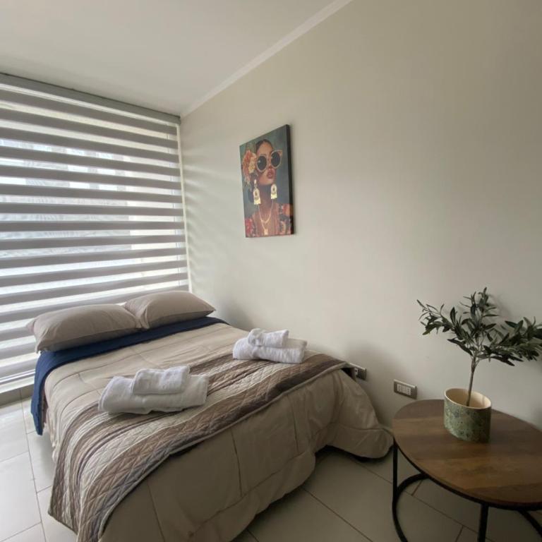 Emma - One-Bedroom Apartment - 7