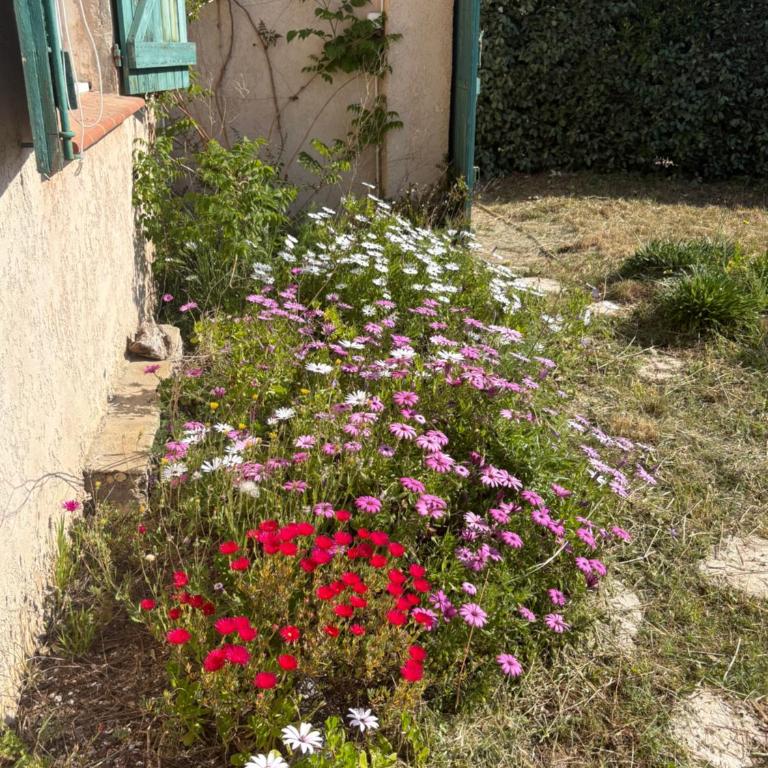 La maison de plage en famille - accès direct plage - Haus mit 1 Schlafzimmer - 12