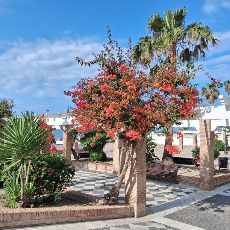 Apartamento Casa Sabrina Nerja - Apartamento de 1 dormitorio con balcón y vistas al mar - 15
