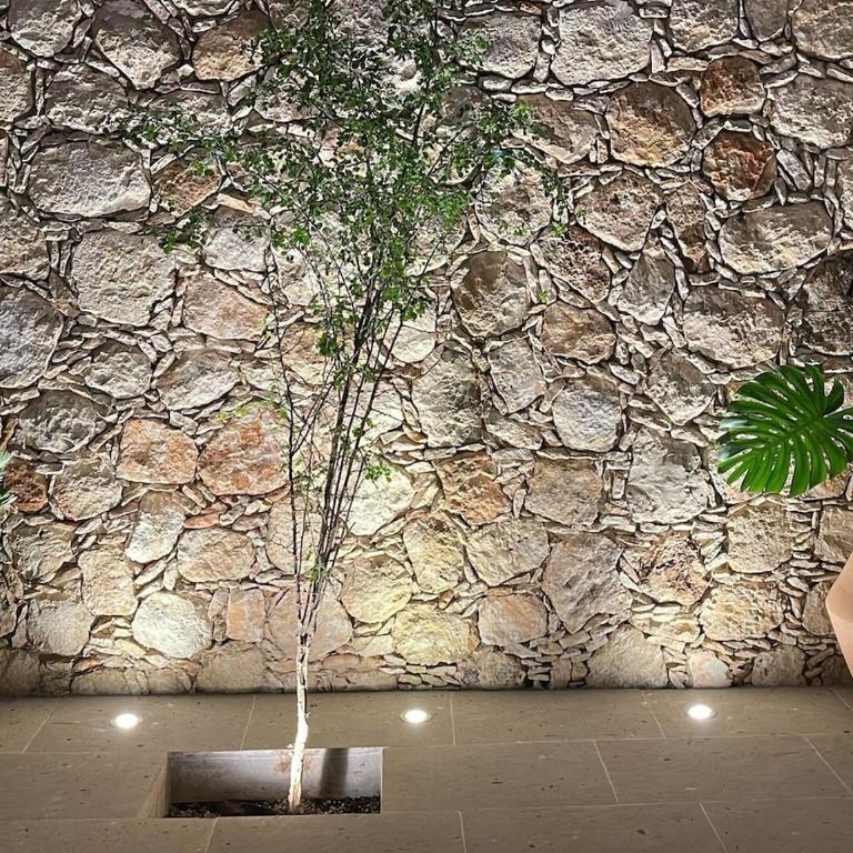 Casa Cairde - Villa con piscina privada - 44