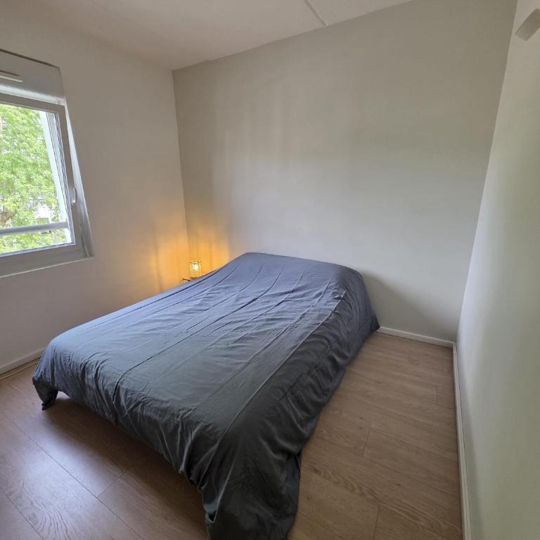 Lac de maine - 75m2 refait a neuf - Appartement 2 Chambres - 13