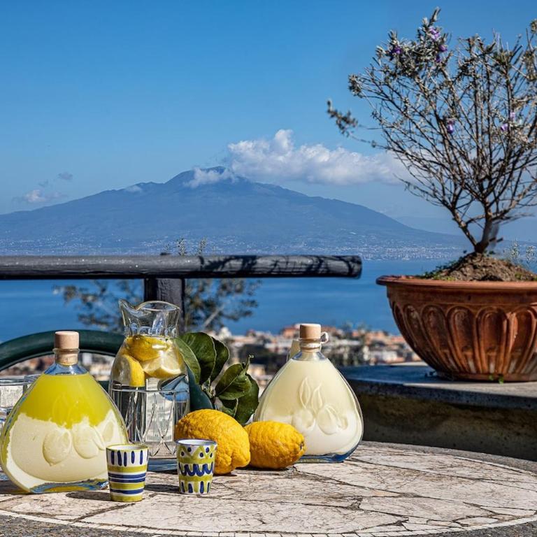 Luxury Villa Donna Tittina Sorrento - Villa con 2 Camere da Letto - 21