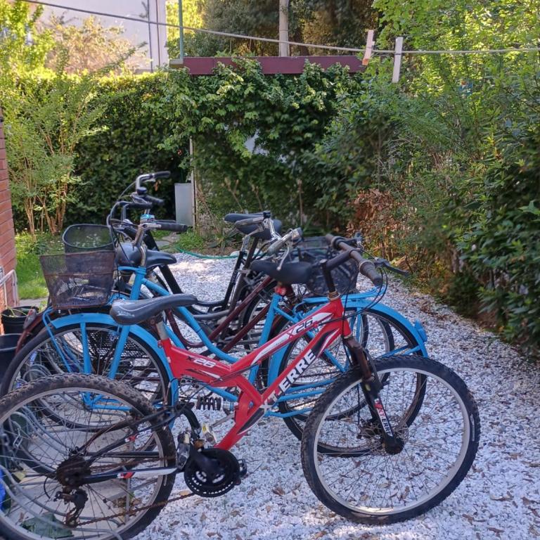 Casa a due passi dal mare Villa Cesira - Casa Vacanze - 30