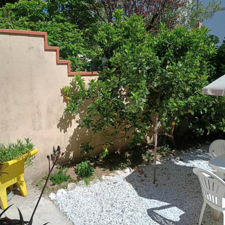 Casa a due passi dal mare Villa Cesira - Casa Vacanze - 21