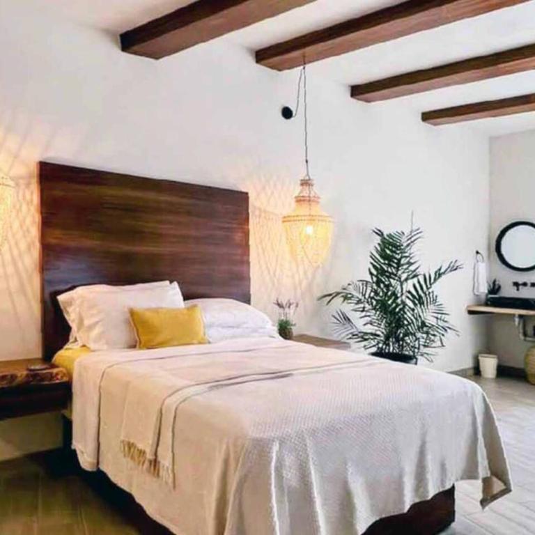 Luxury Studio 203 in Zona Romantica - Apartamento - 5
