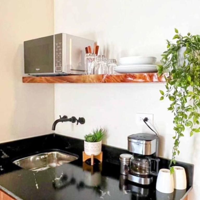 Luxury Studio 203 in Zona Romantica - Apartamento - 8