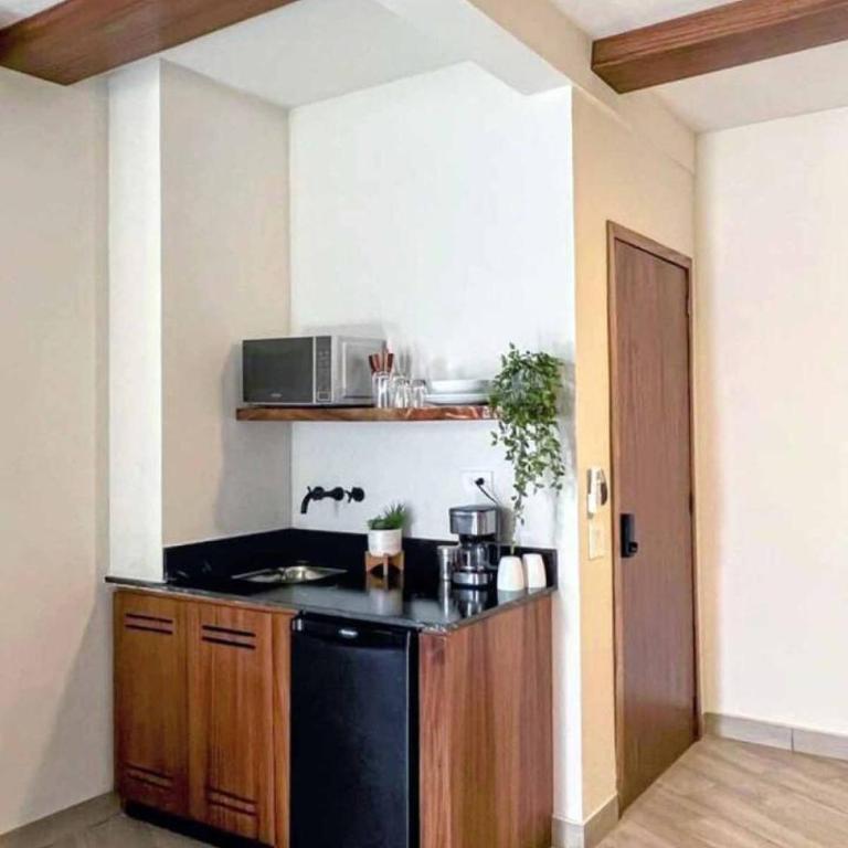 Luxury Studio 203 in Zona Romantica - Apartamento - 9