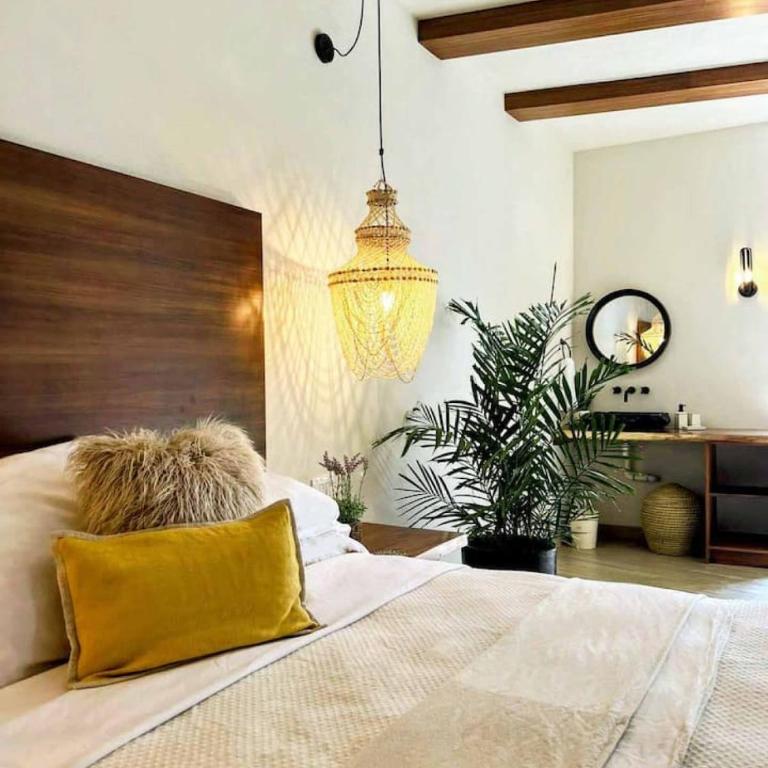 Luxury Studio 203 in Zona Romantica - Apartamento - 12