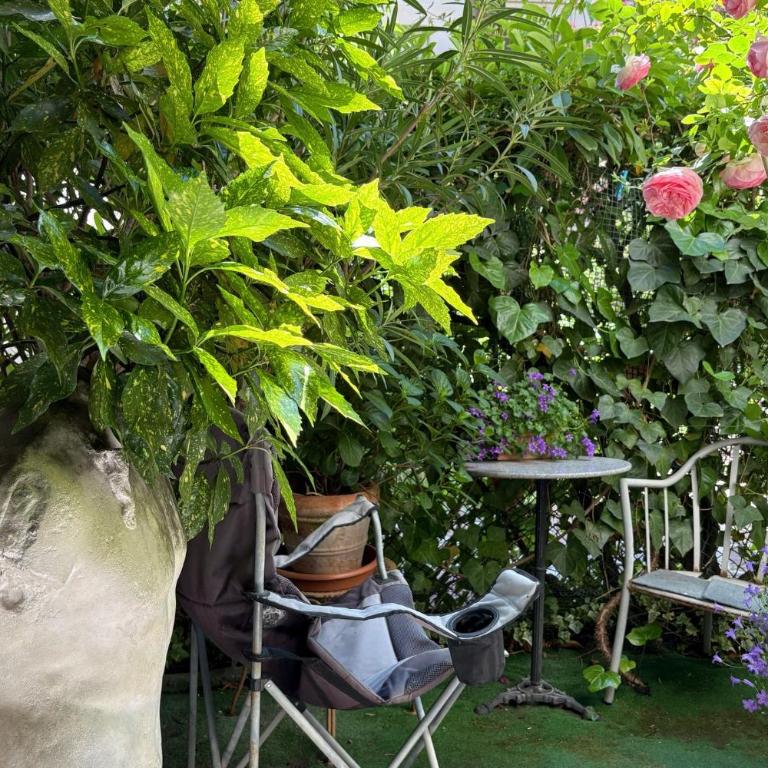 Charmant studio avec jardin secret Calme absolu au cœur du 5e - Appartement 1 Chambre - 9