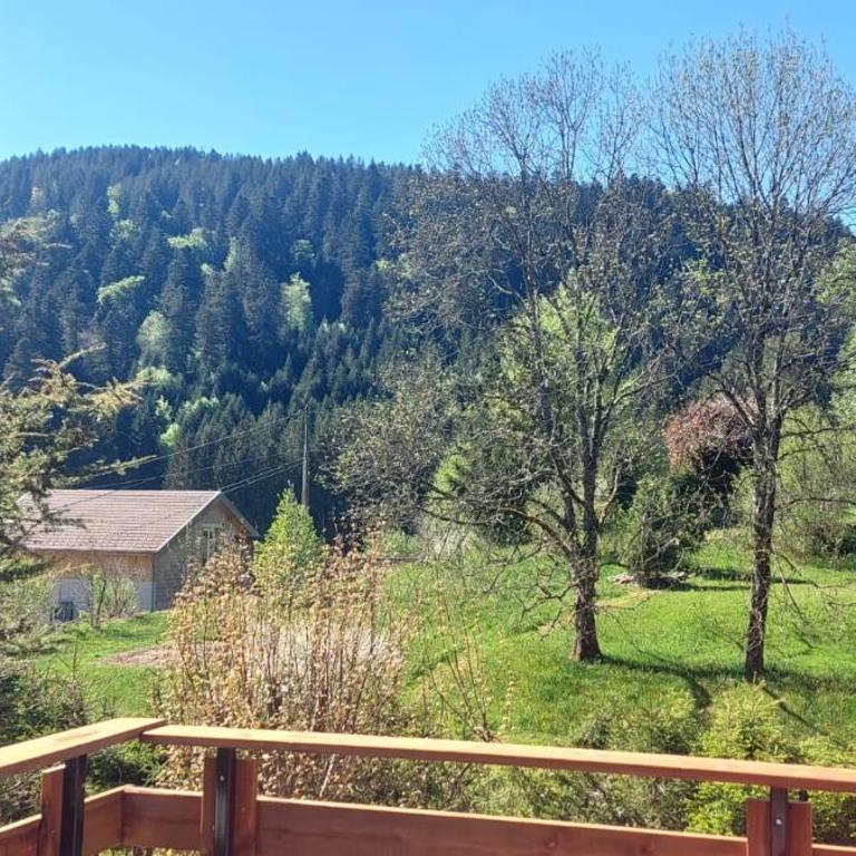 Nouveau ské chalet, SPA privatif, terrain clôturé, garage - Chalet 2 Chambres - 16