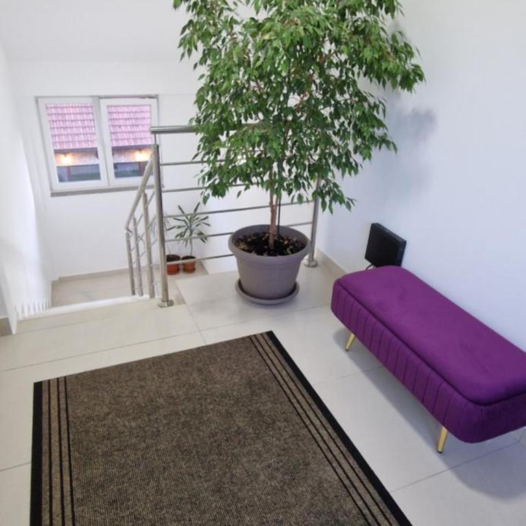 Apartman Luplja Center - Apartman - 11
