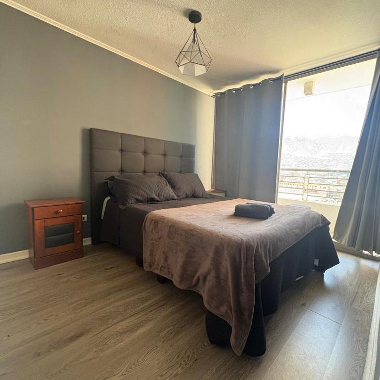 Exclusive Aparment III - One-Bedroom Apartment - 11
