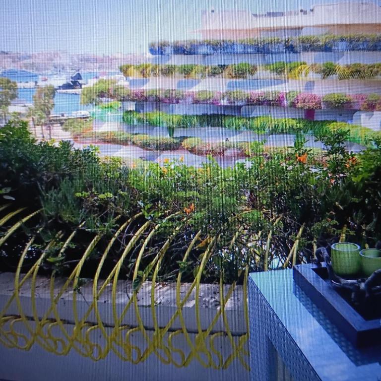 Luaxurious Boas Botafoch Apartment - Apartamento de 2 dormitorios - 2