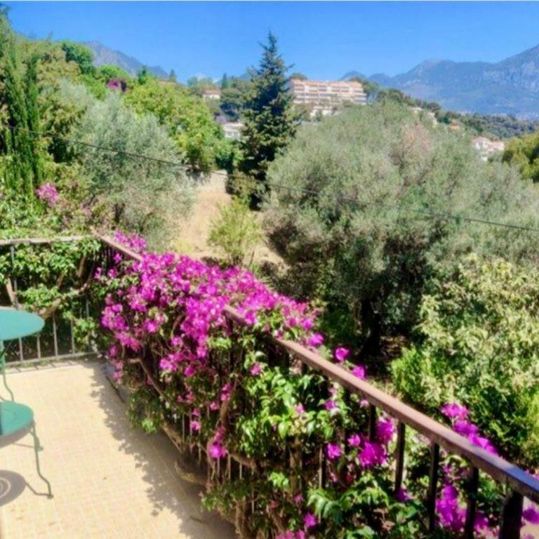 Villa Le Faiou haut - Appartement - 15