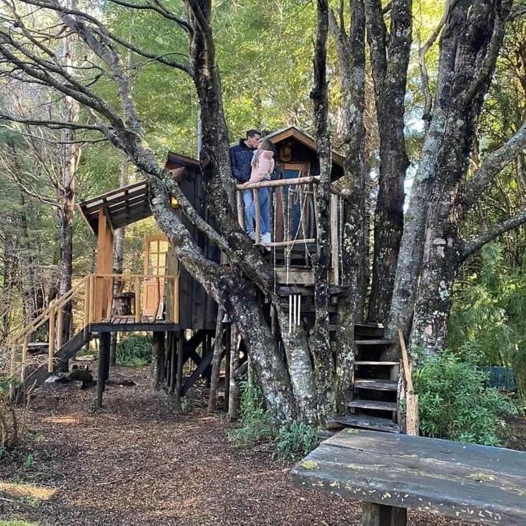 Pucón Magic forest - Suite with Garden View - 22