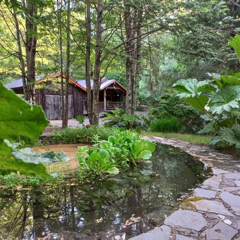 Pucón Magic forest - Suite with Garden View - 23