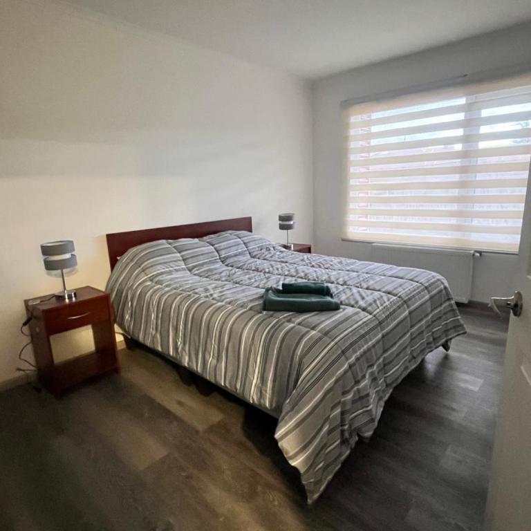 Refugio Austral - One-Bedroom Apartment - 5