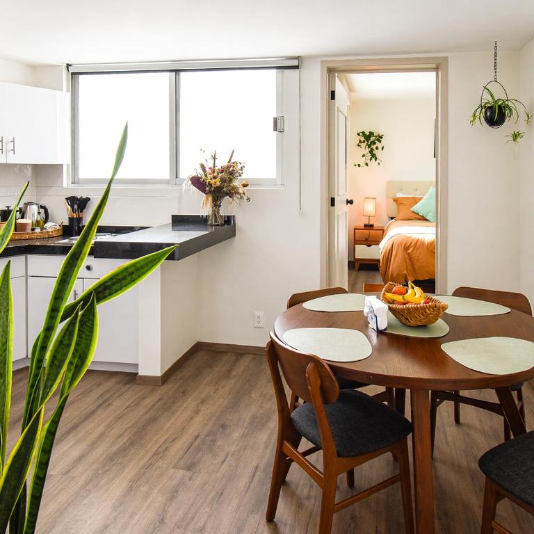 It's Always Sunny in this Roma Norte Apartment - Apartamento - 22