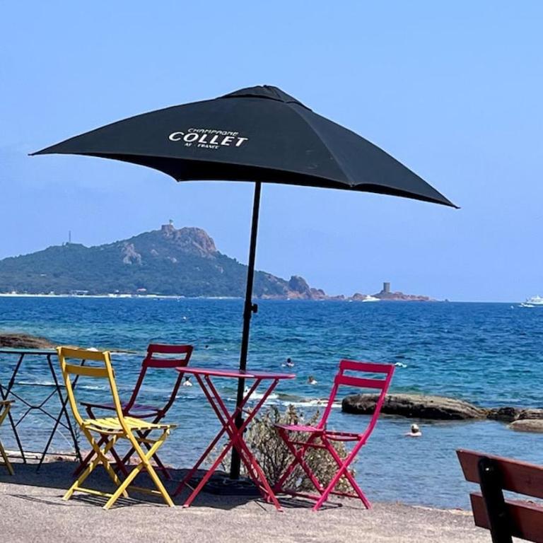Un coin de paradis au pied de la Grande Bleue - Apartment mit 1 Schlafzimmer - 52