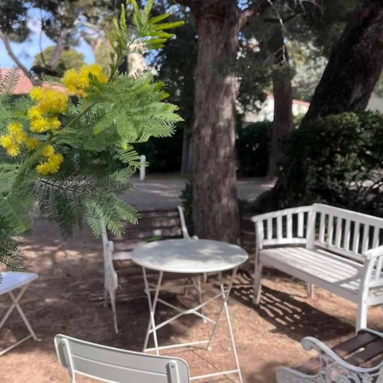 Un coin de paradis au pied de la Grande Bleue - Apartment mit 1 Schlafzimmer - 41