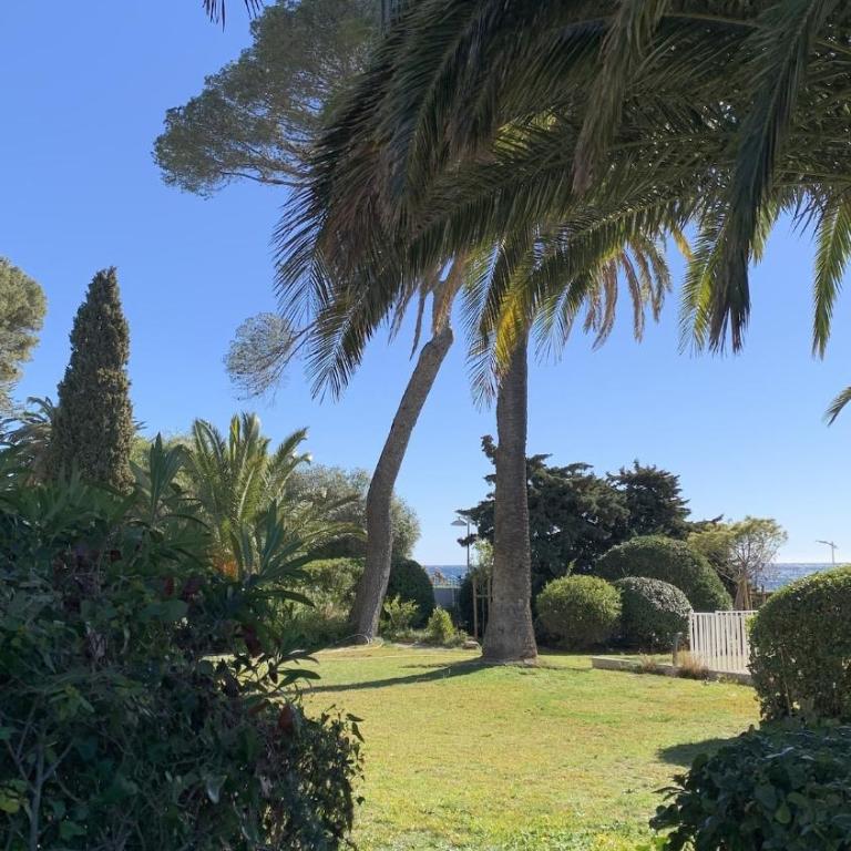 Un coin de paradis au pied de la Grande Bleue - Apartment mit 1 Schlafzimmer - 49