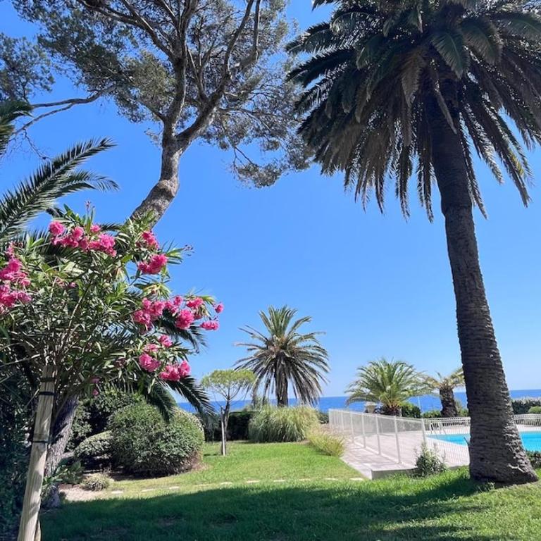 Un coin de paradis au pied de la Grande Bleue - Apartment mit 1 Schlafzimmer - 2