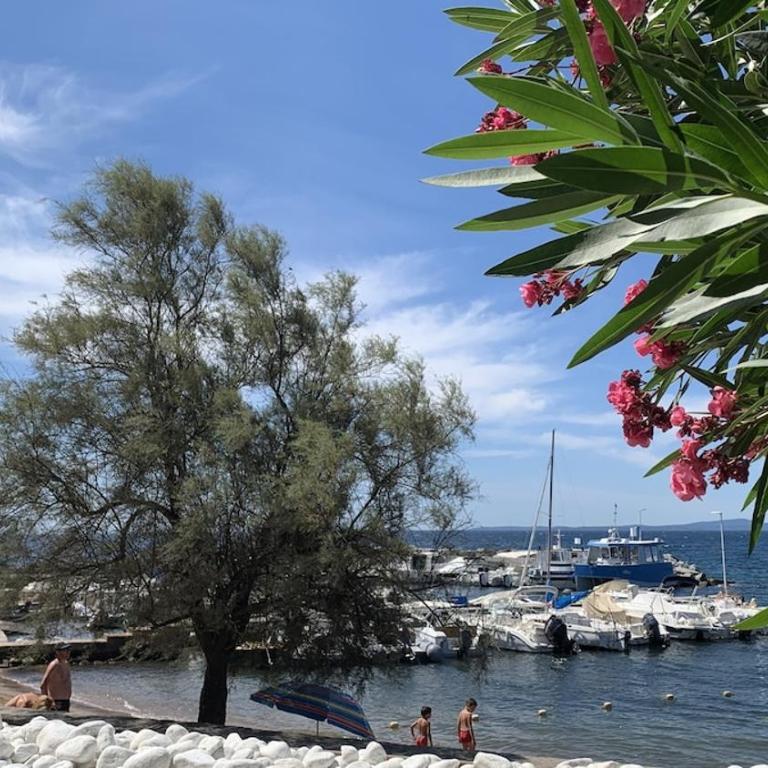 Un coin de paradis au pied de la Grande Bleue - Apartment mit 1 Schlafzimmer - 62