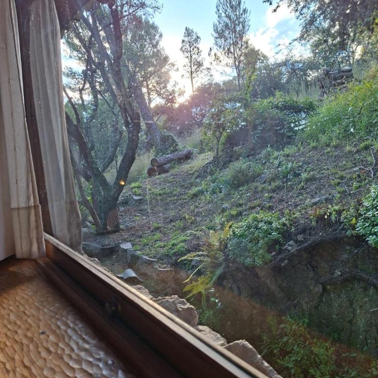 Finca Campo Alto - Chalet de 1 dormitorio - 7