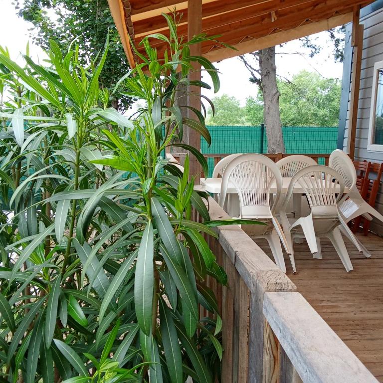 Cosy mobile home 6 p piscine inclus ! - Tente - 1