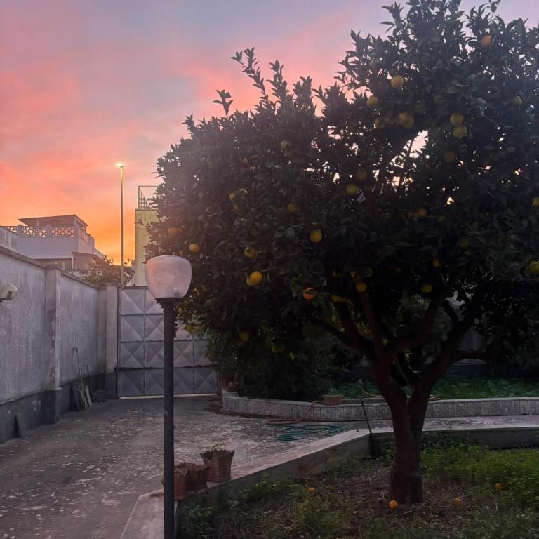 All'ombra dell'arancio - Casa con 1 Camera da Letto - 17