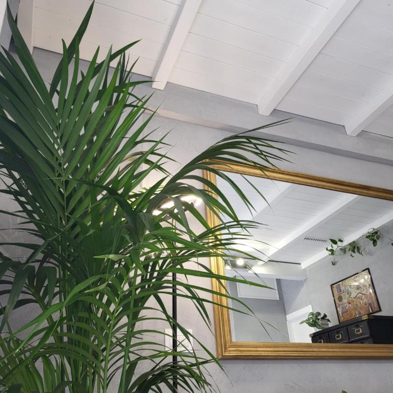 Art and Green Home Metro Colli Albani - Appartamento con 1 Camera da Letto - Non Fumatori - 25