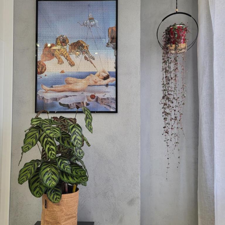 Art and Green Home Metro Colli Albani - Appartamento con 1 Camera da Letto - Non Fumatori - 23