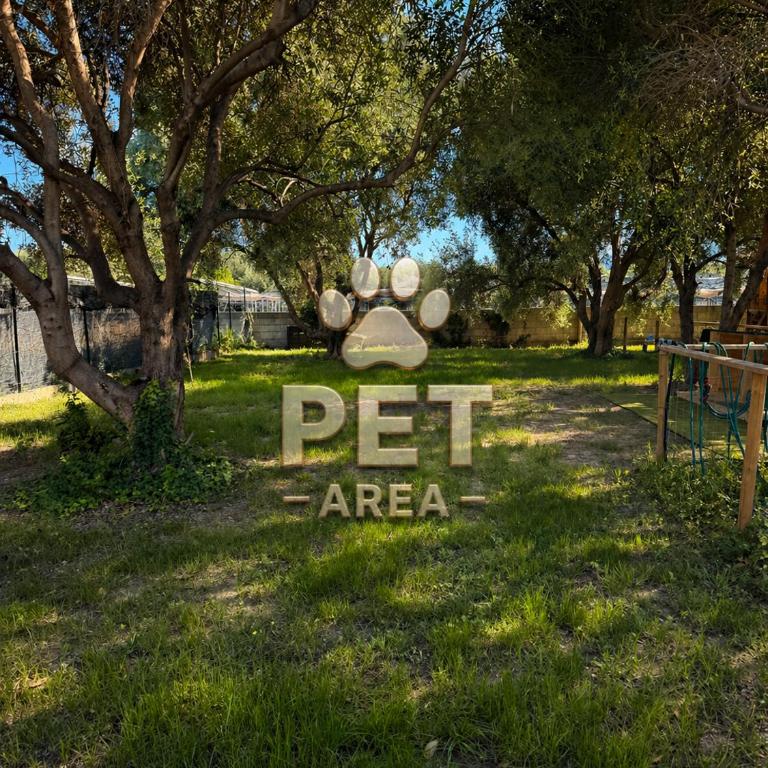 Villa Irabo - Appartamento con 2 Camere da Letto - 25