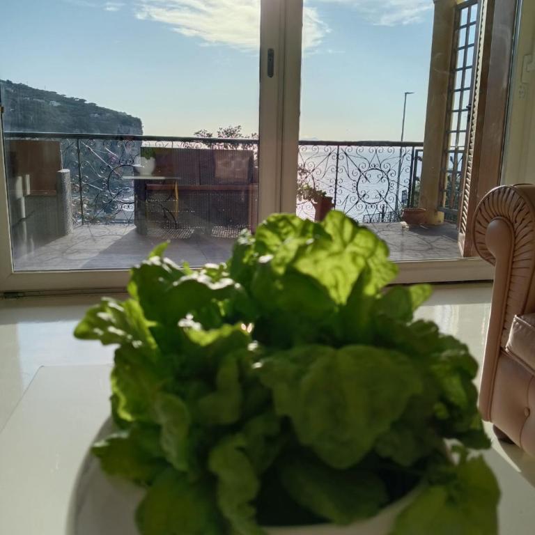White Stylish Apartment 4 - Casa con 1 Camera da Letto - 39