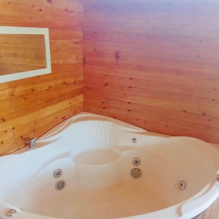 Cabaña Premium - One-Bedroom Apartment - 11