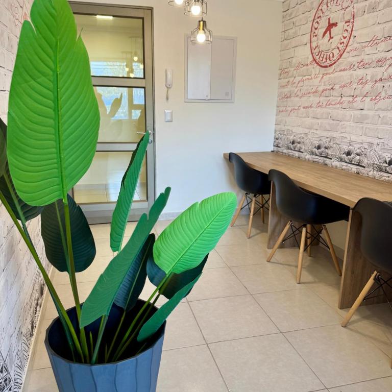 Alto Arrayán - One-Bedroom Apartment - 21