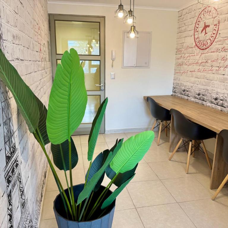 Alto Arrayán - One-Bedroom Apartment - 19