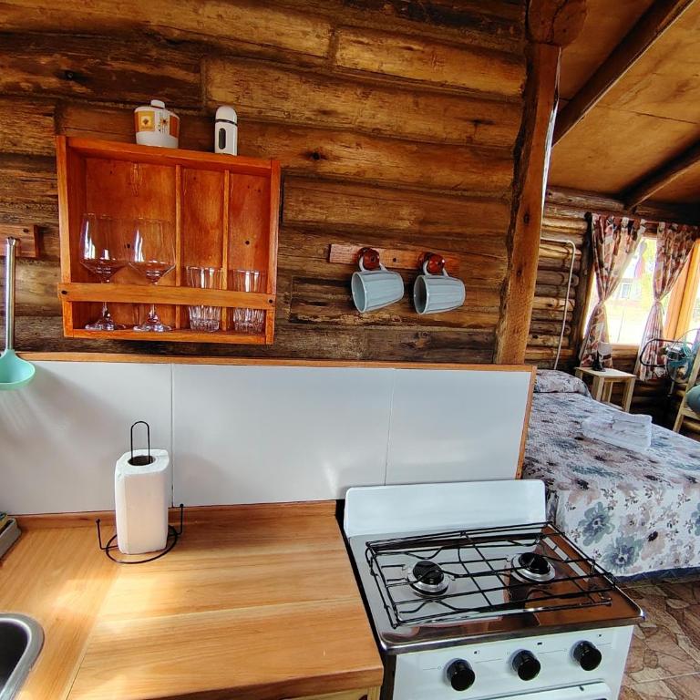 Cabañas Angualasto - Estudio con vistas a las montañas - 3