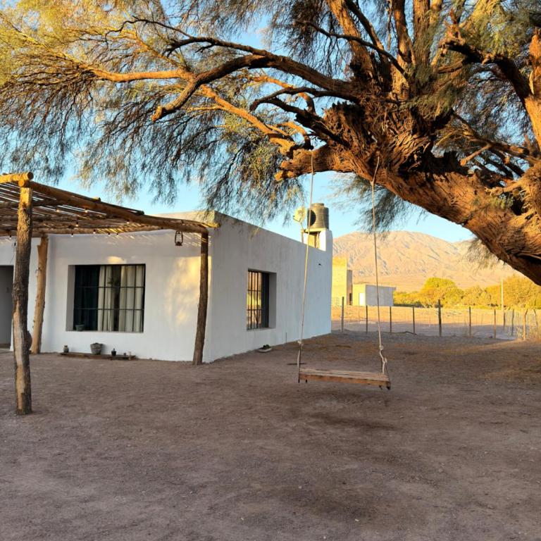 Raíces de Luna - Apartamento de 2 dormitorios - 27