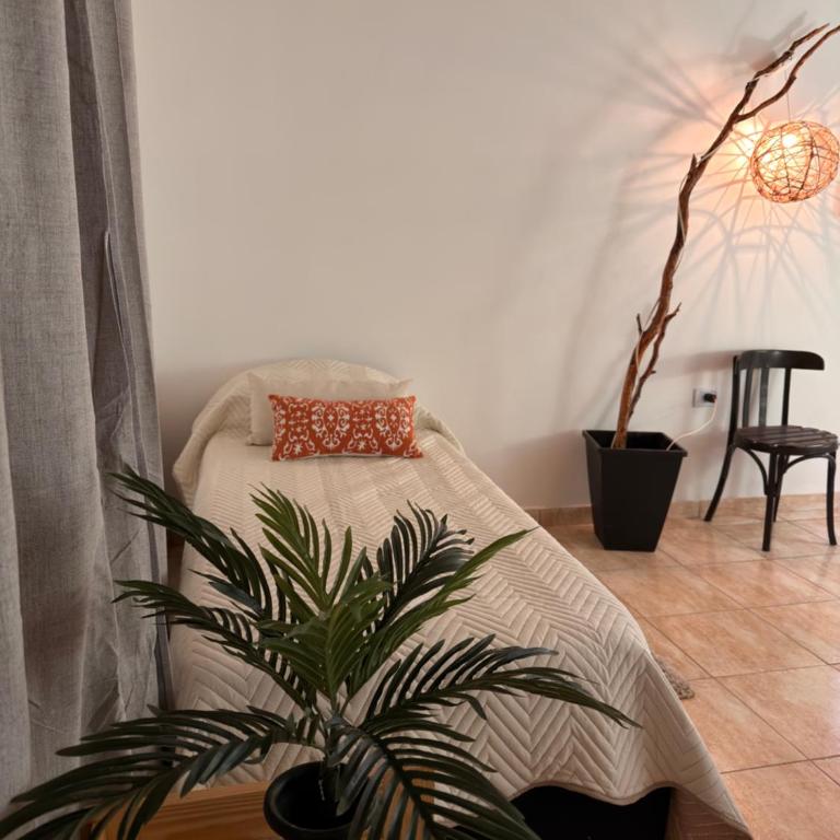 Raíces de Luna - Apartamento de 2 dormitorios - 29