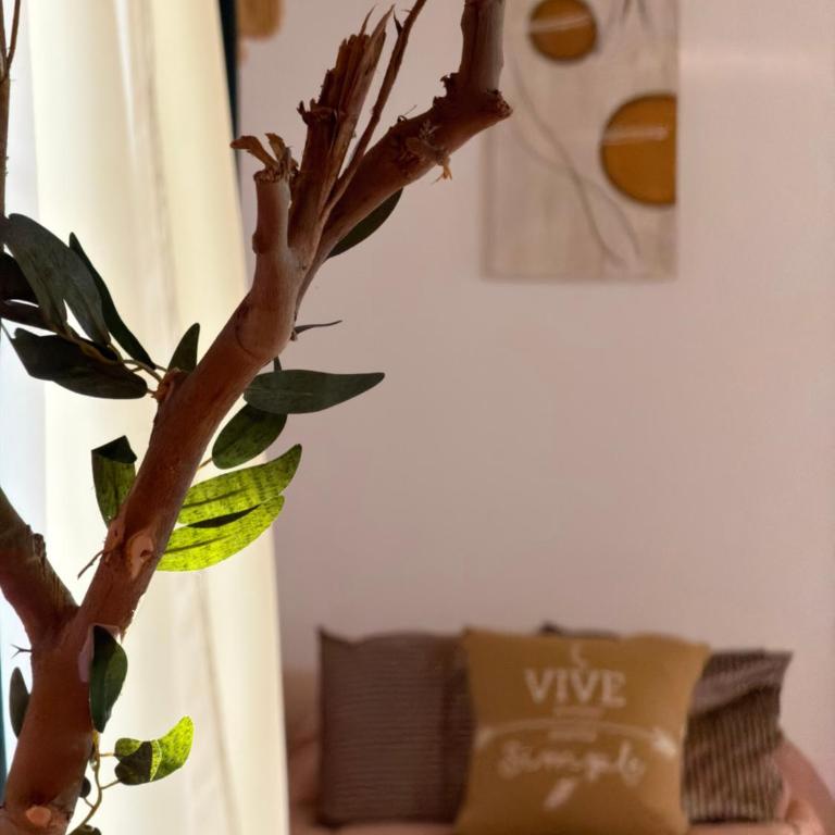 Raíces de Luna - Apartamento de 2 dormitorios - 34