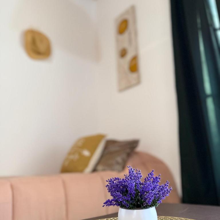 Raíces de Luna - Apartamento de 2 dormitorios - 36