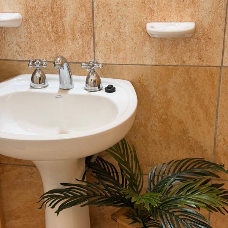 Raíces de Luna - Apartamento de 2 dormitorios - 40