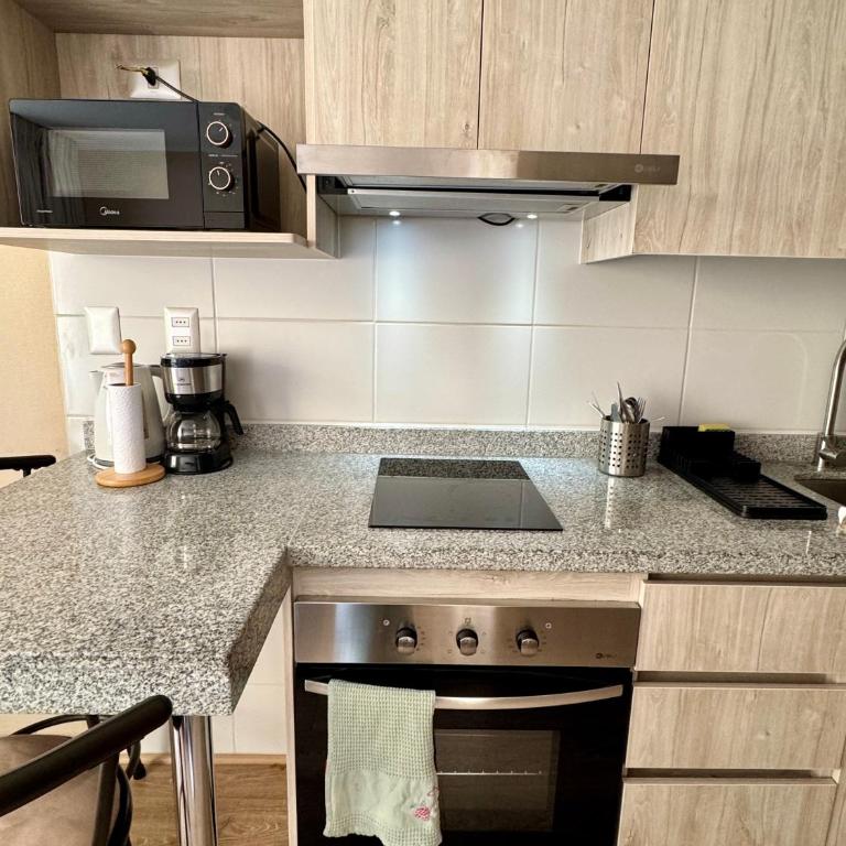 Alto Arrayán - One-Bedroom Apartment - 2