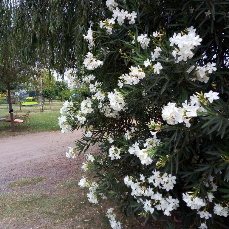 Camping Sam - Apartamento de 3 dormitorios - 4