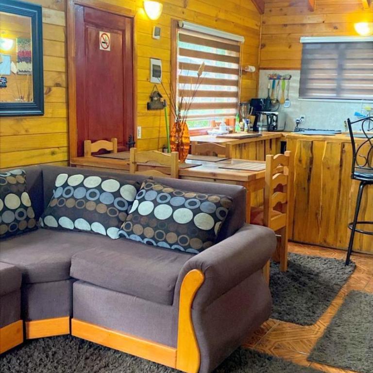 Cabaña Casa Victoria con Bosque,Río & Starlink Internet - Two-Bedroom House - 33