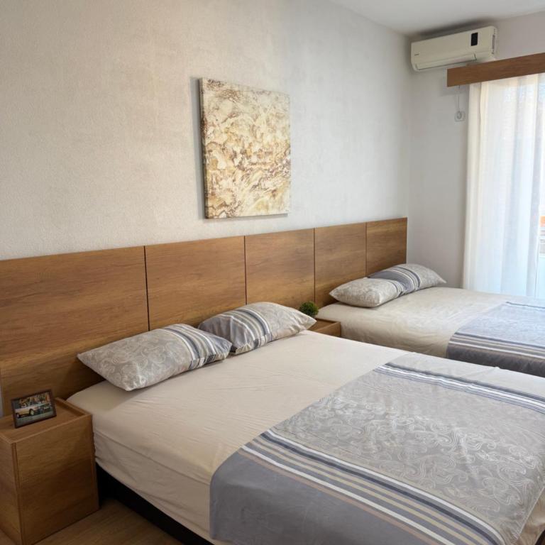 Ajan Apartments - Niskobudžetna Dvokrevetna Soba sa Bračnim Krevetom - 4