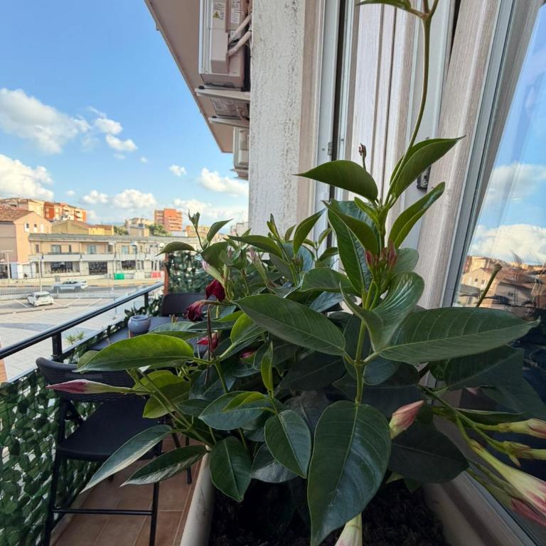 B&B Tanda Rooms Olbia - Camera Tripla - 6