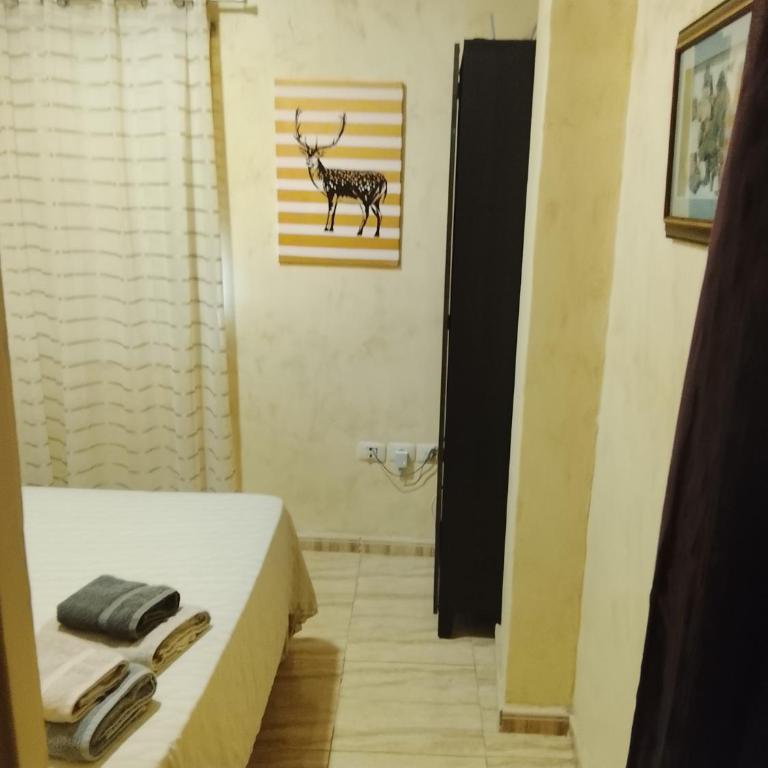 Apartamento en La Salud - Apartamento de 1 dormitorio - 14