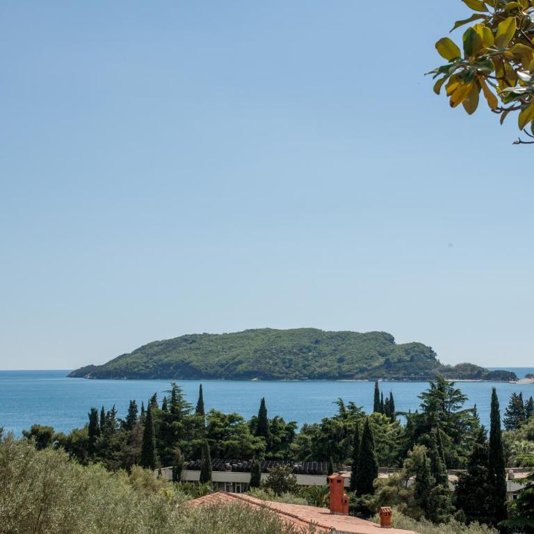Panorama Apartments - Apartman sa 2 Spavaće Sobe - 1